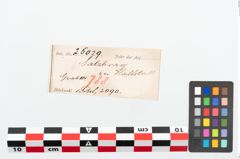 Etikett zu Bronzebrillenfibel (NHMW-PRAE-026029)